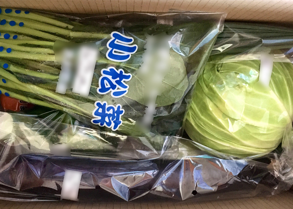 通販で購入した産直野菜