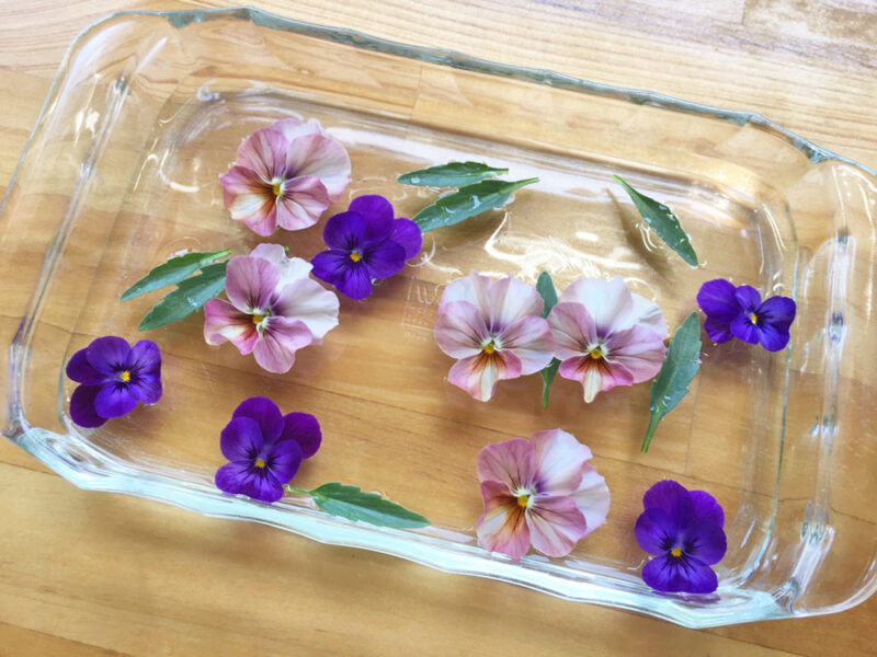 手作り便箋（ビオラの写真で作っているところ）