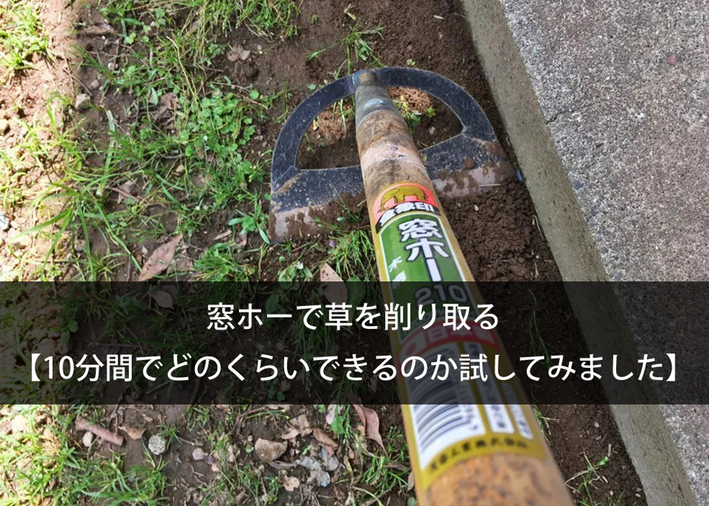 窓ホーで草を削り取る【10分間でどのくらいできるのか試してみました】