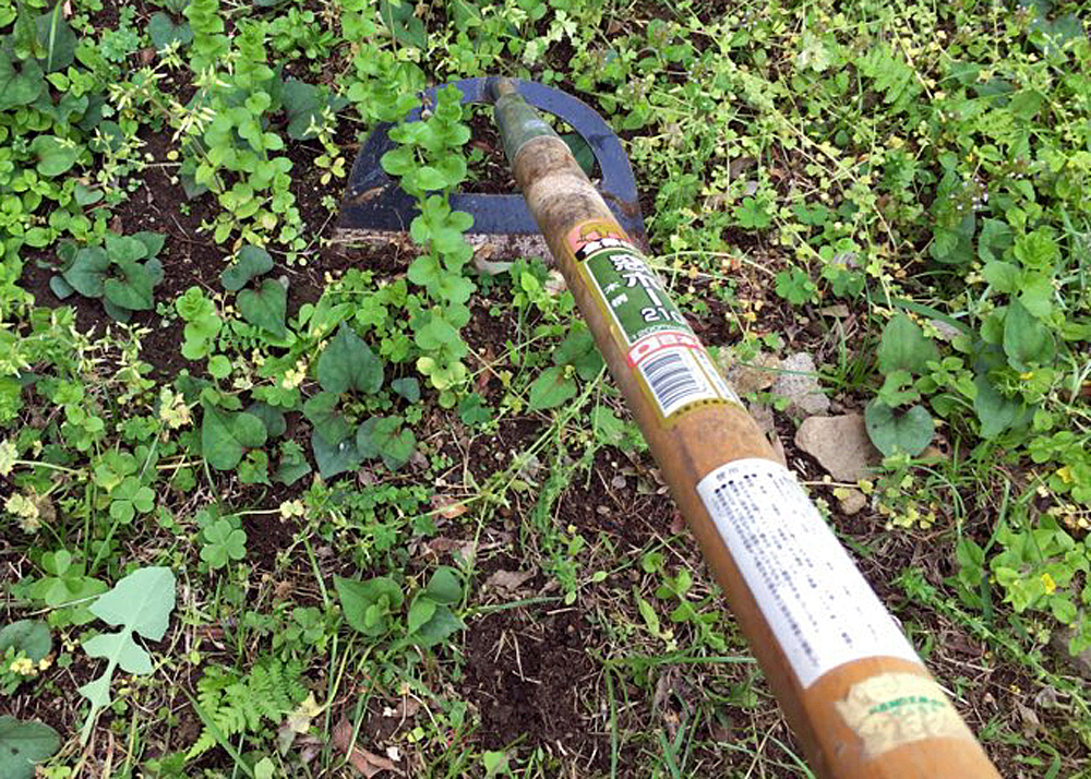 窓ホーで草を削り取ろうとしているところ