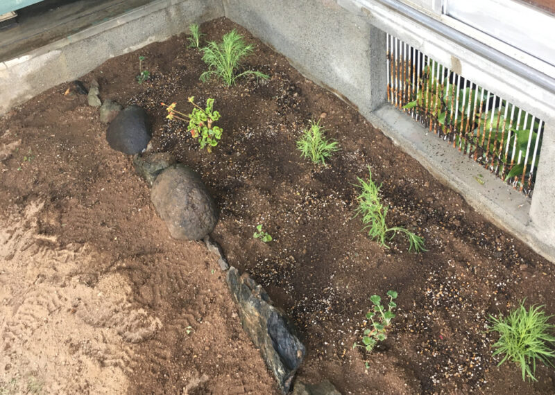 庭から出てきた不揃いな石で花壇の縁取りを作る時のコツ ちらしの夜更かしブログ