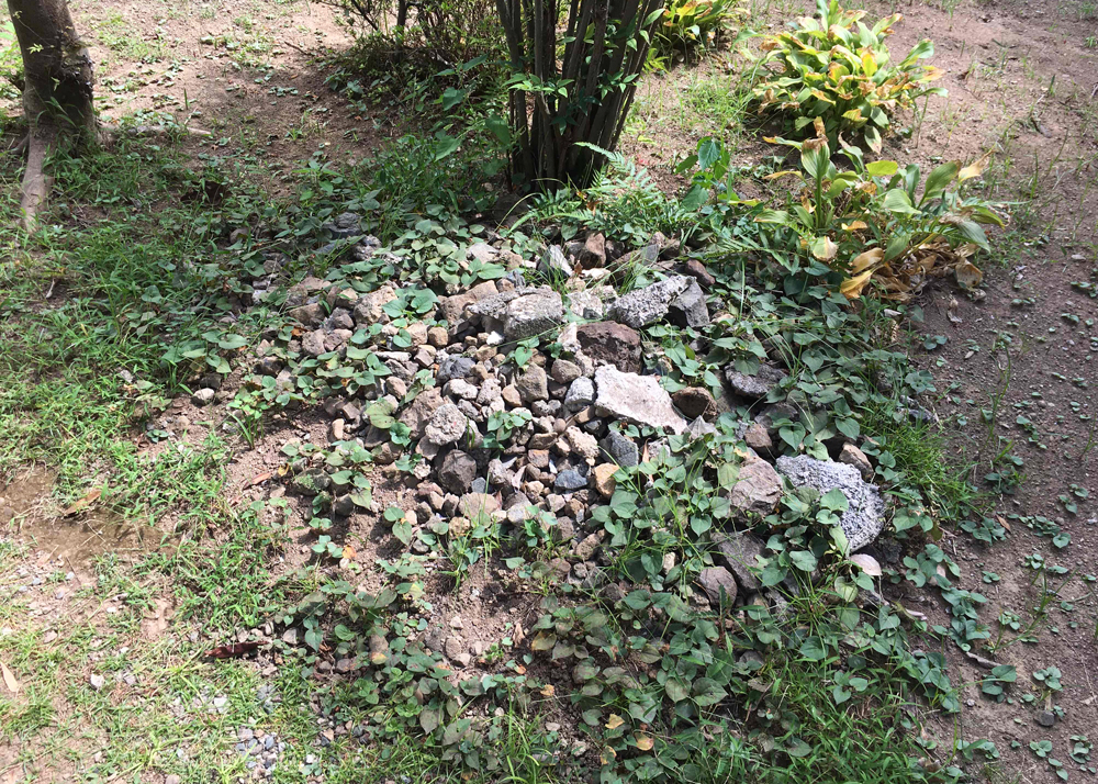庭から出てきた石とコンクリートガラ