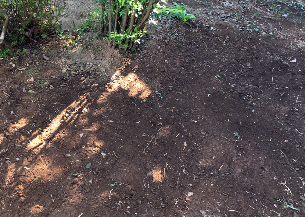 庭から出てきた石を片づけてスッキリしたところ