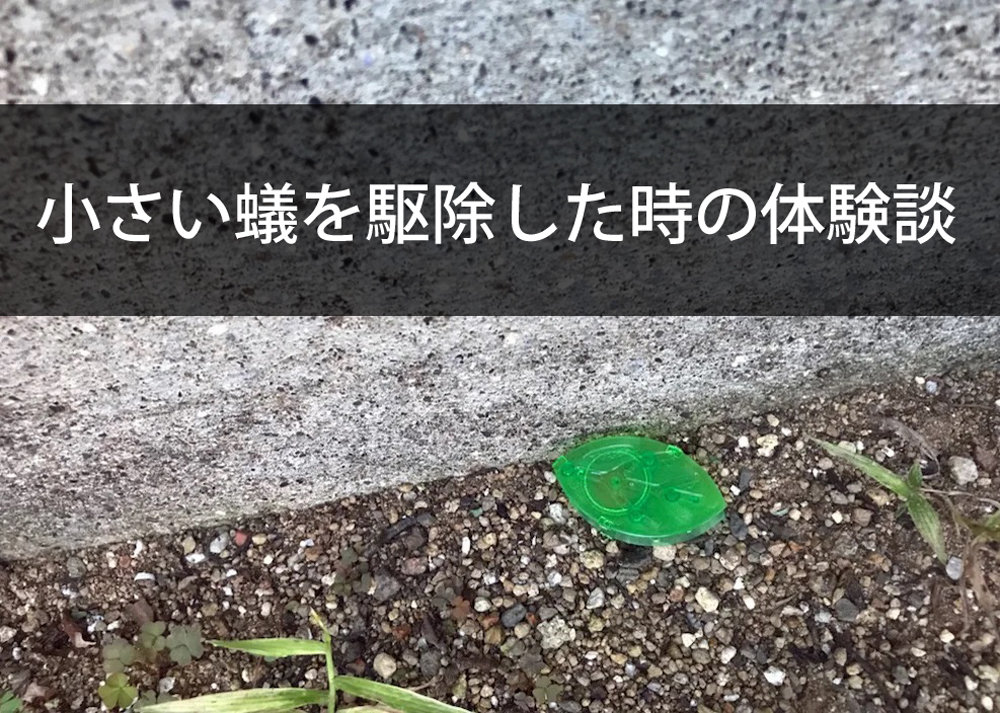 小さい蟻を駆除した時の体験談