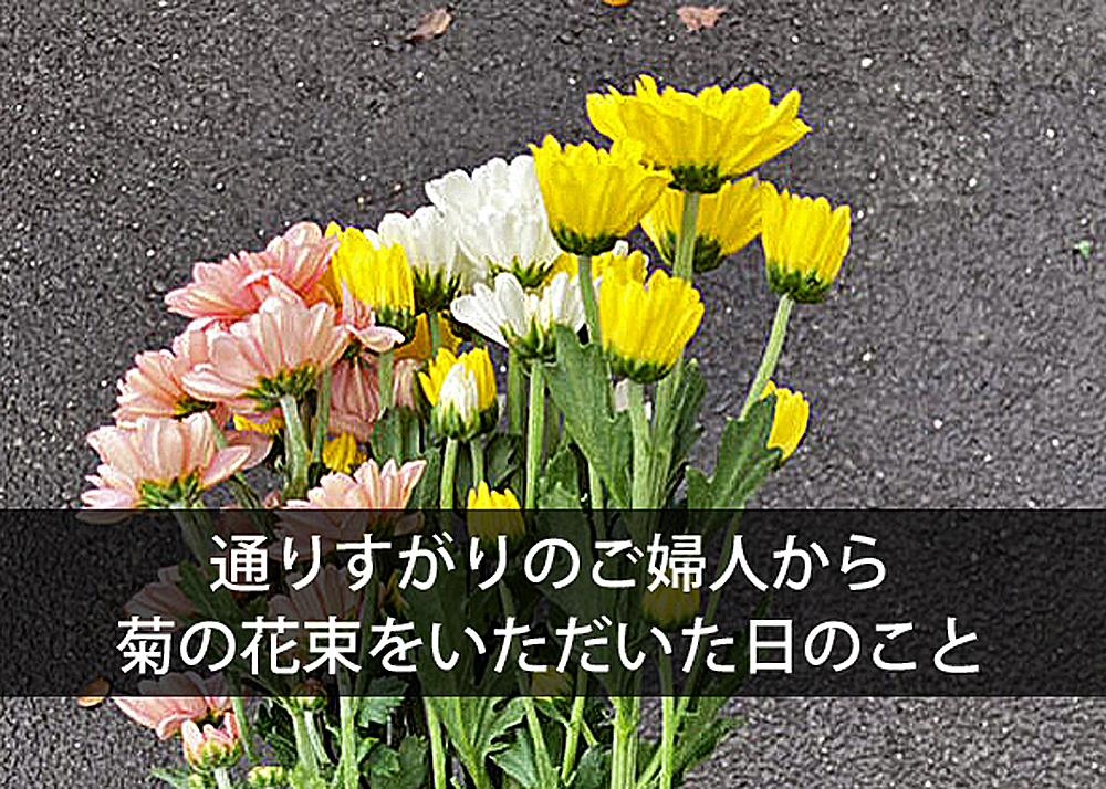通りすがりのご婦人から菊の花束をいただいた日のこと