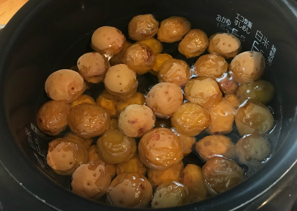 炊飯器で作った梅シロップ