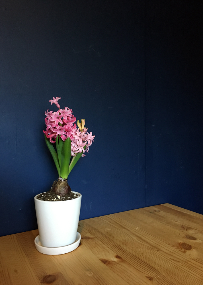 手作りポストカード