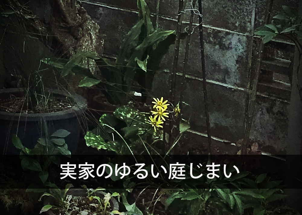 実家のゆるい庭じまい