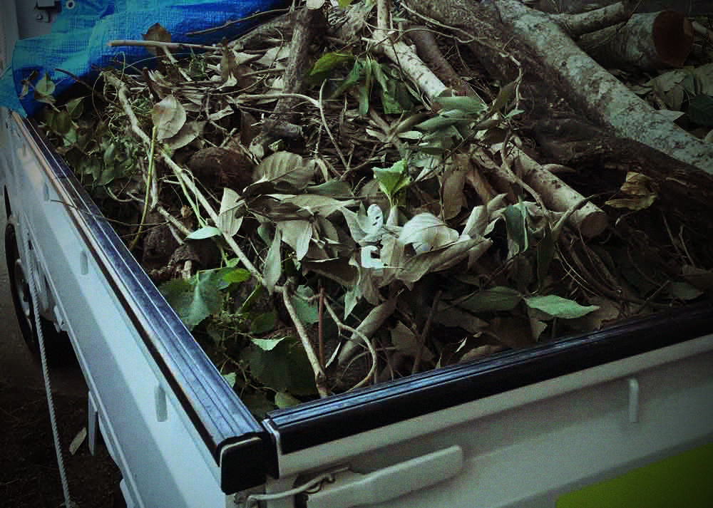 実家のゆるい庭じまい