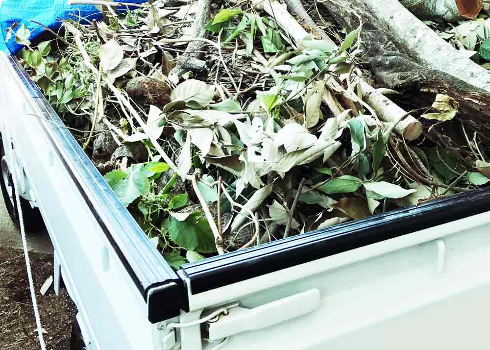 実家のゆるい庭じまい