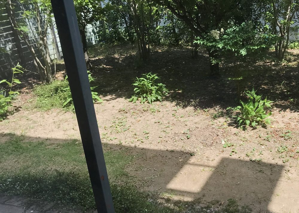 庭の地面に木陰ができているところ